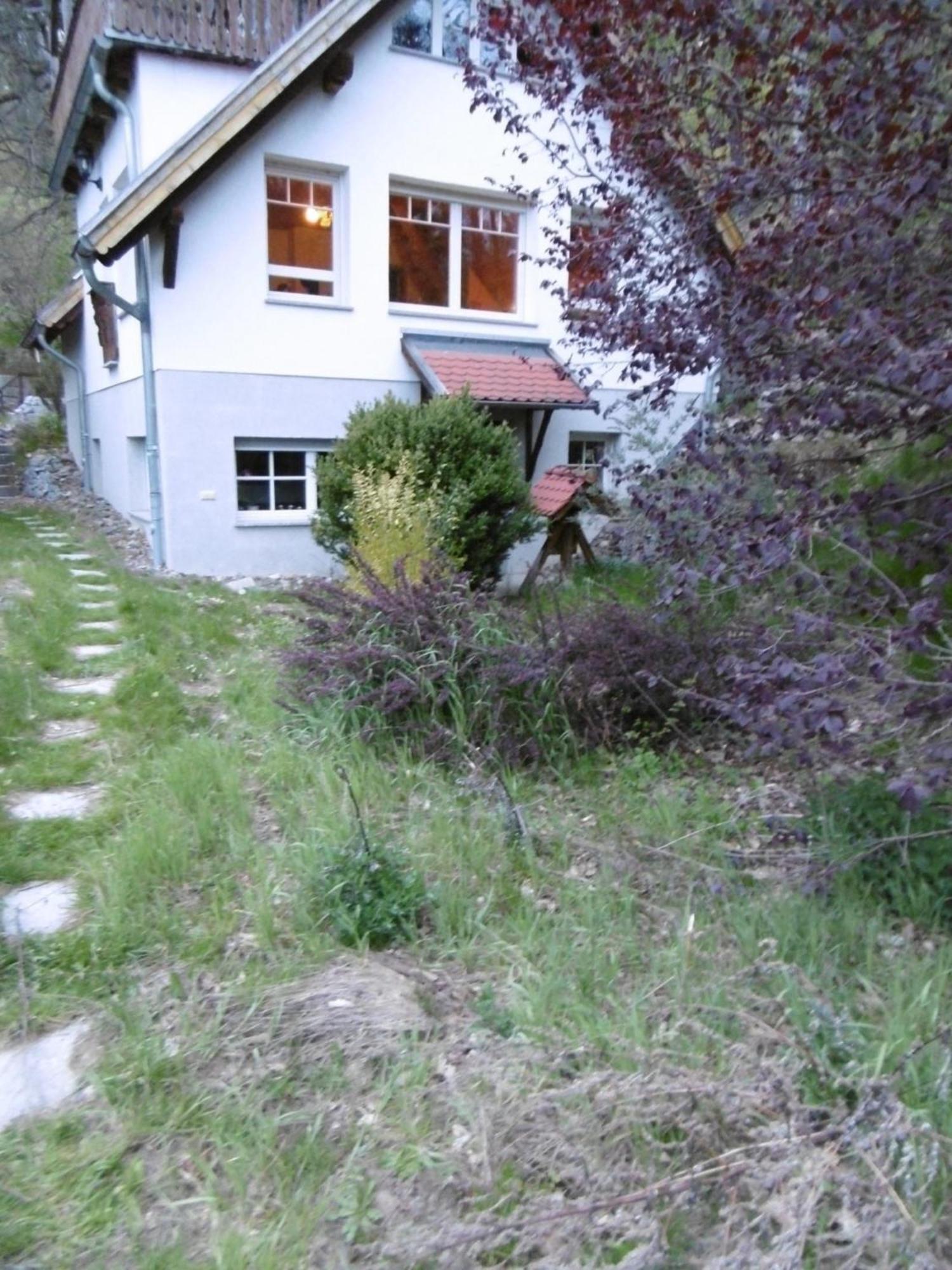 Gartenwohnung Bodetalblick Thale Bagian luar foto