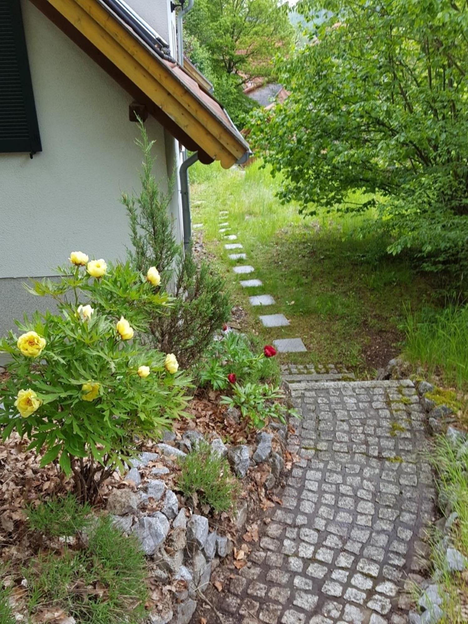 Gartenwohnung Bodetalblick Thale Bagian luar foto